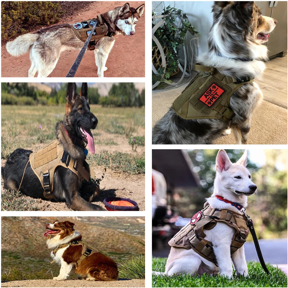 Large Dog Harness Training Pet Vest for French Bulldog German Shepherd Malinois Tactical Harnesses For Walking Dogs Accessories