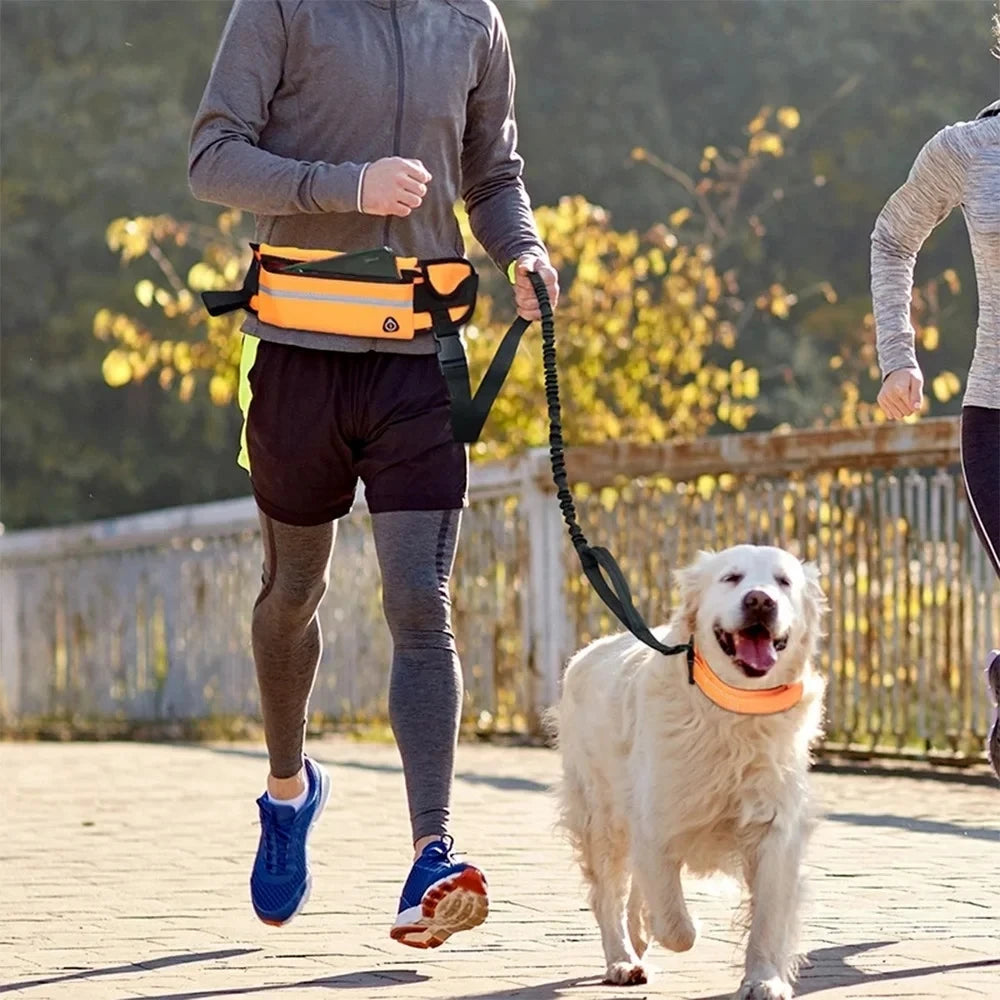 Hands Free Dog Leash Reflective Leash with Waist Bag Dog Traction Rope Retractable Elastic Belt for Running Walking Pet Product