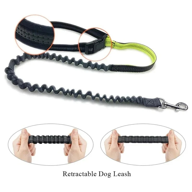 Dog Running Waist Leash Nylon Pet Leash with Waist Bag Retractable Elastic Belt Dog Traction Rope Reflective Belt Buckle
