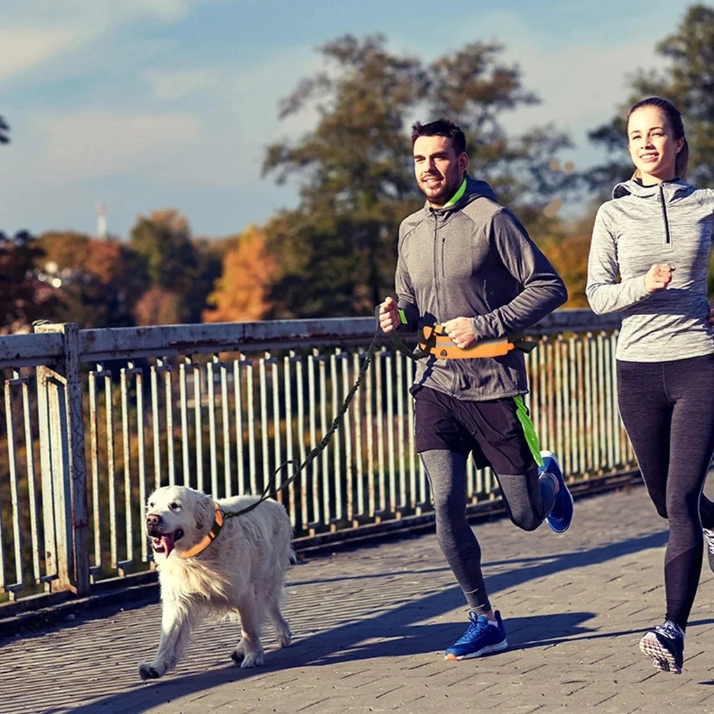 Hands Free Dog Leash Reflective Leash with Waist Bag Dog Traction Rope Retractable Elastic Belt for Running Walking Pet Product