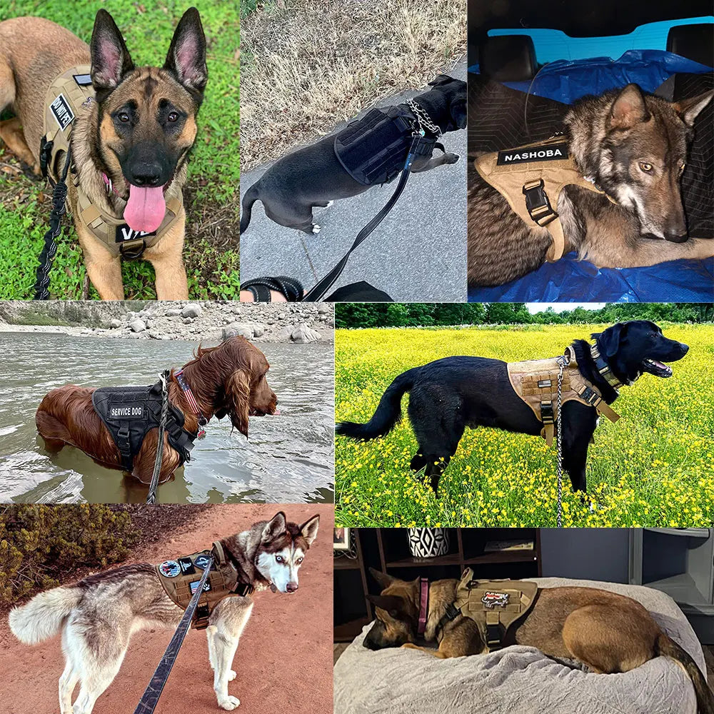 Large Dog Harness Training Pet Vest for French Bulldog German Shepherd Malinois Tactical Harnesses For Walking Dogs Accessories